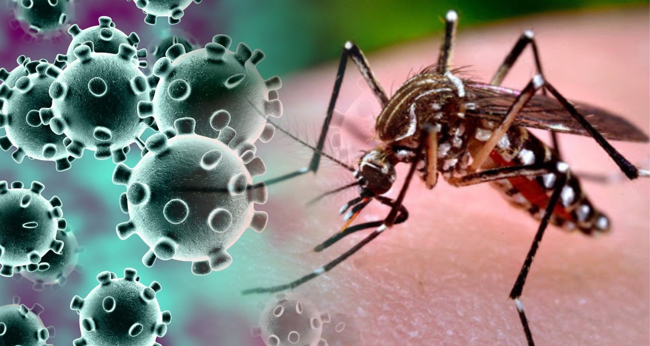 Dengue e Covid-19: epidemias e manejos clínicos cruzados?